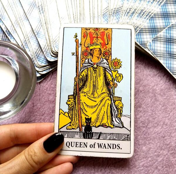 Queen of Wands – Quý Khách chan chứa hăng hái và mức độ hút