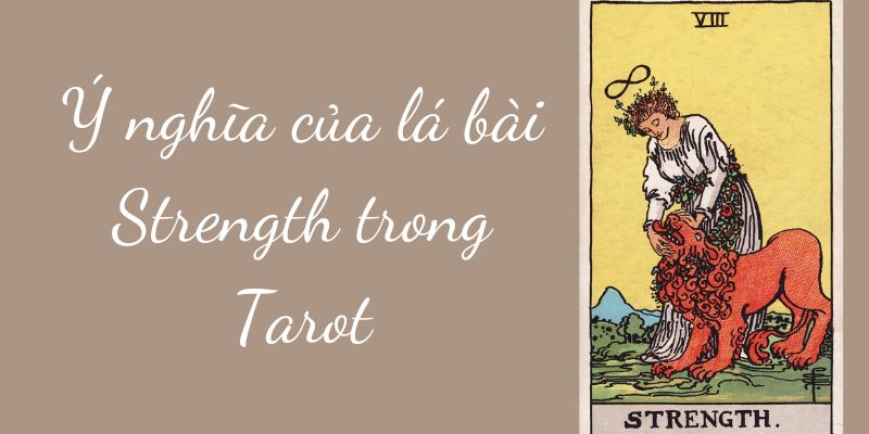Lá bài Strength trong bộ bài Tarot
